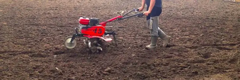 Kaip Įrengti Veją Žingsnis po Žingsnio Vadovas