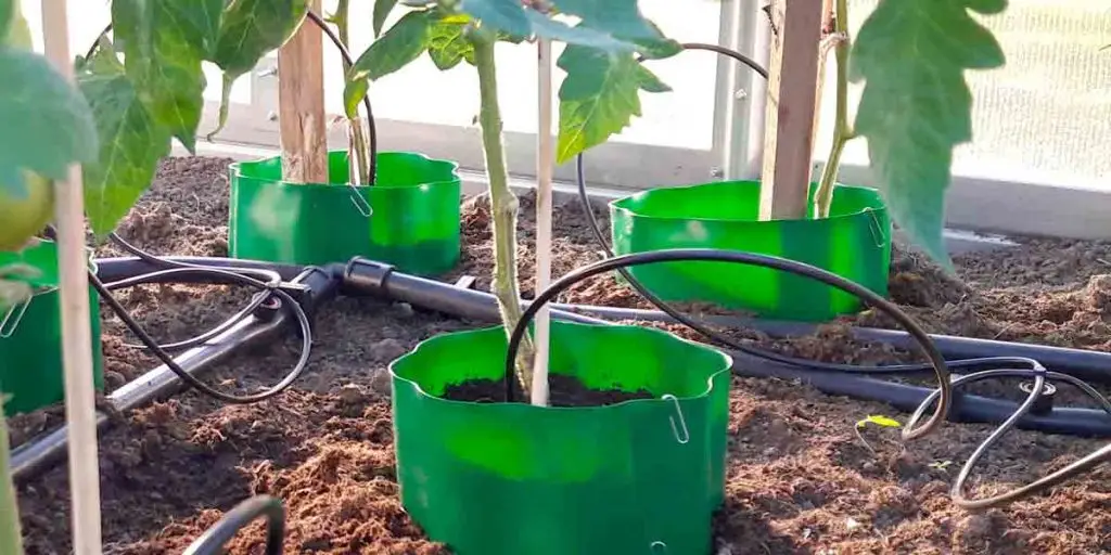 Šiltnamio-laistymo-sistemos-kainos