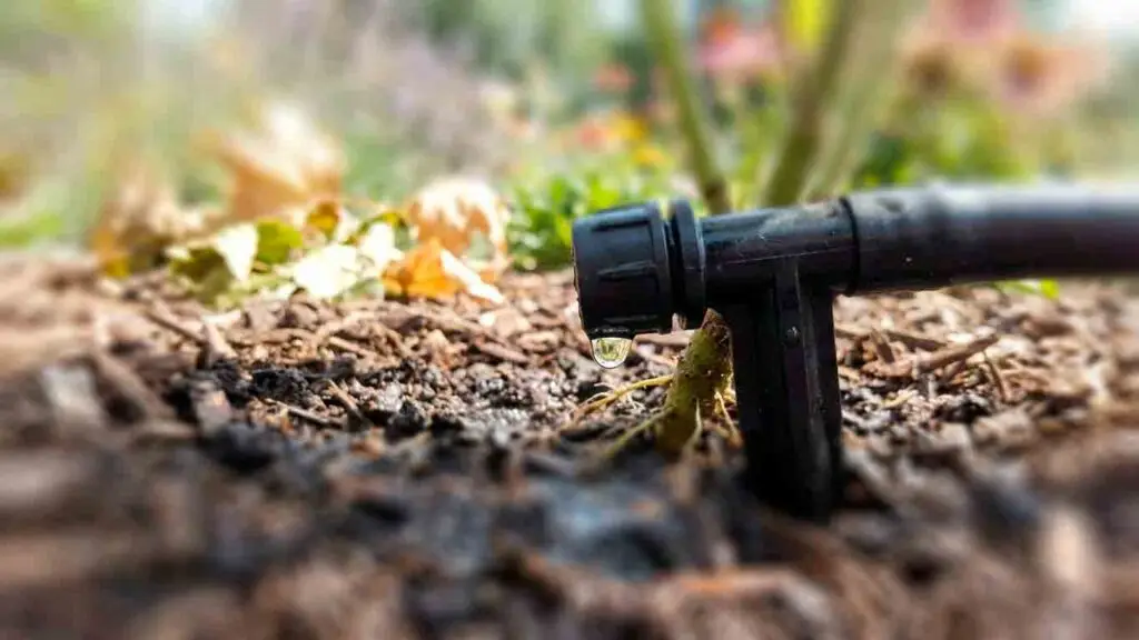 drėkinant sklypą vienas būdas netinka