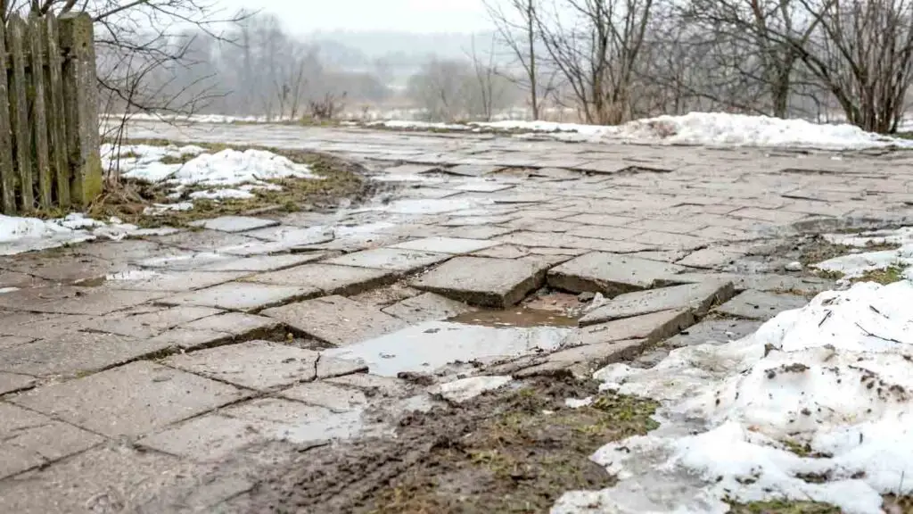 Aplinkos veiksniai ir klimatas